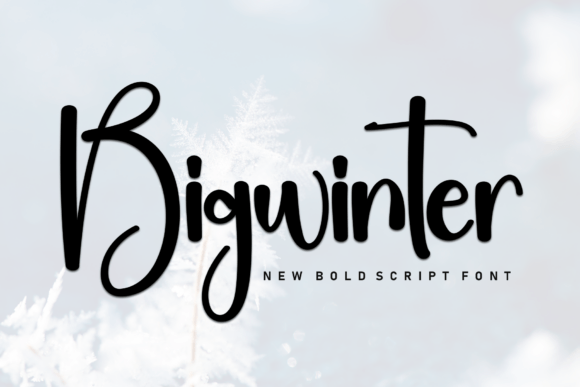 Bigwinter: The Bold Script Font for Energetic Branding