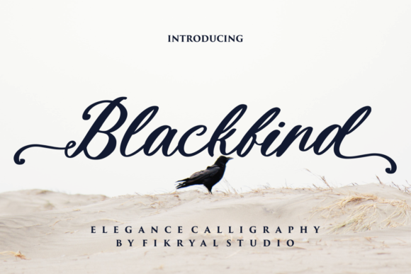 Blackbird: The Cursive Script Font for Modern Branding