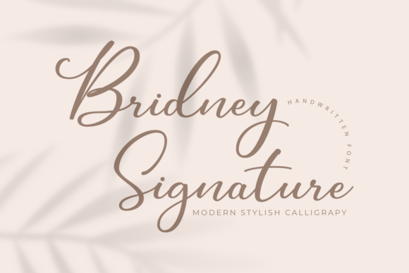 Bridney Signature: A Romantic Script for Modern Designers