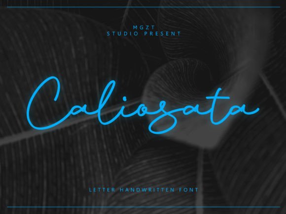 Caliosata: Where Cuteness Meets Elegant Design